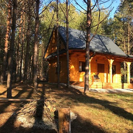 Forest Inn Trzepieciny Екстериор снимка