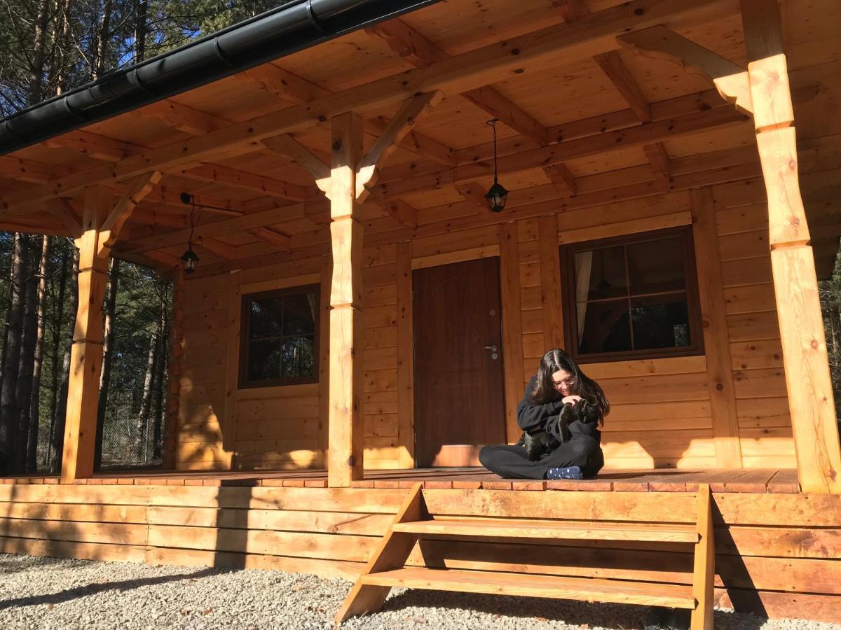 Forest Inn Trzepieciny Екстериор снимка