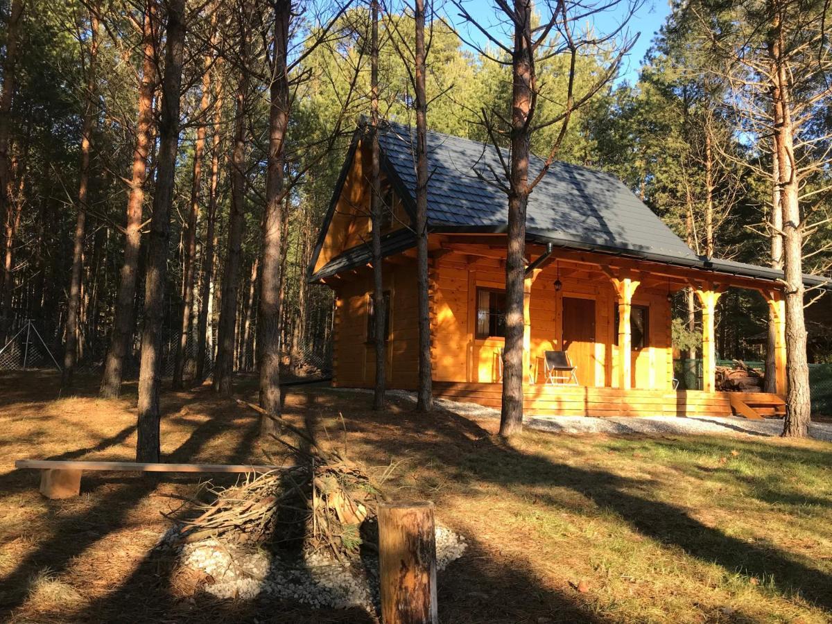 Forest Inn Trzepieciny Екстериор снимка