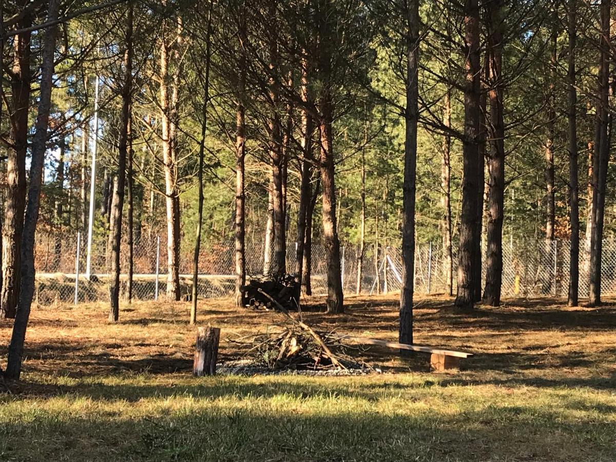 Forest Inn Trzepieciny Екстериор снимка
